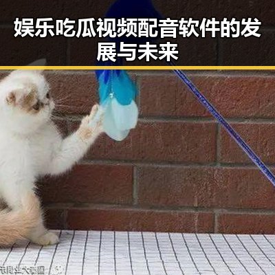 娱乐吃瓜视频配音软件的发展与未来