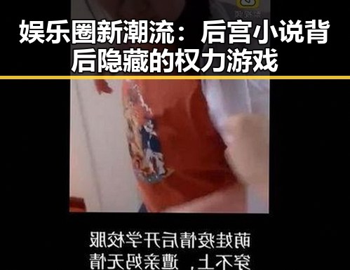 娱乐圈新潮流：后宫小说背后隐藏的权力游戏